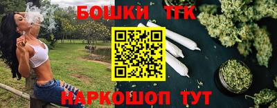 Альфа ПВП Моздок