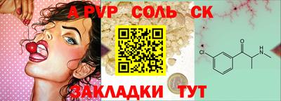 Альфа ПВП Моздок