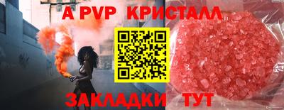 Альфа ПВП Моздок