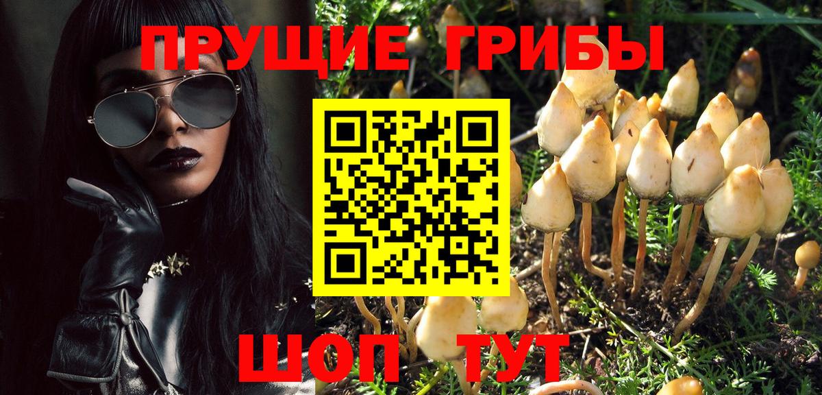 Псилоцибиновые грибы мухоморы Советский